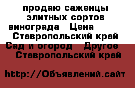 продаю саженцы элитных сортов винограда › Цена ­ 100 - Ставропольский край Сад и огород » Другое   . Ставропольский край